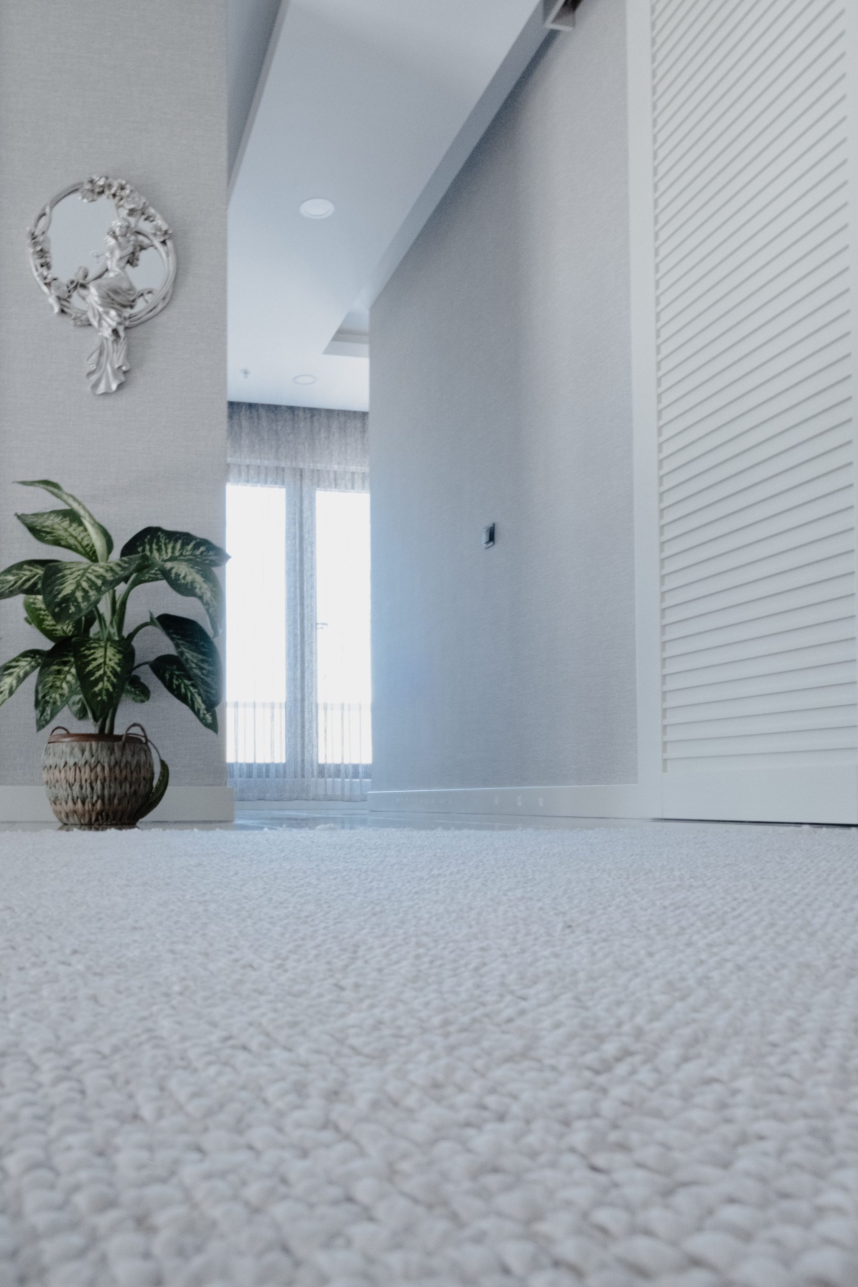 Carpet and upholstery cleaning service