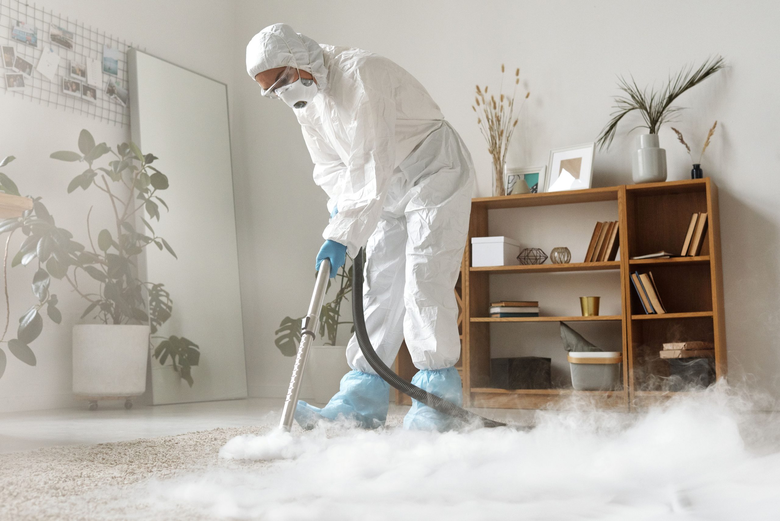 Carpet cleaning equipment being used