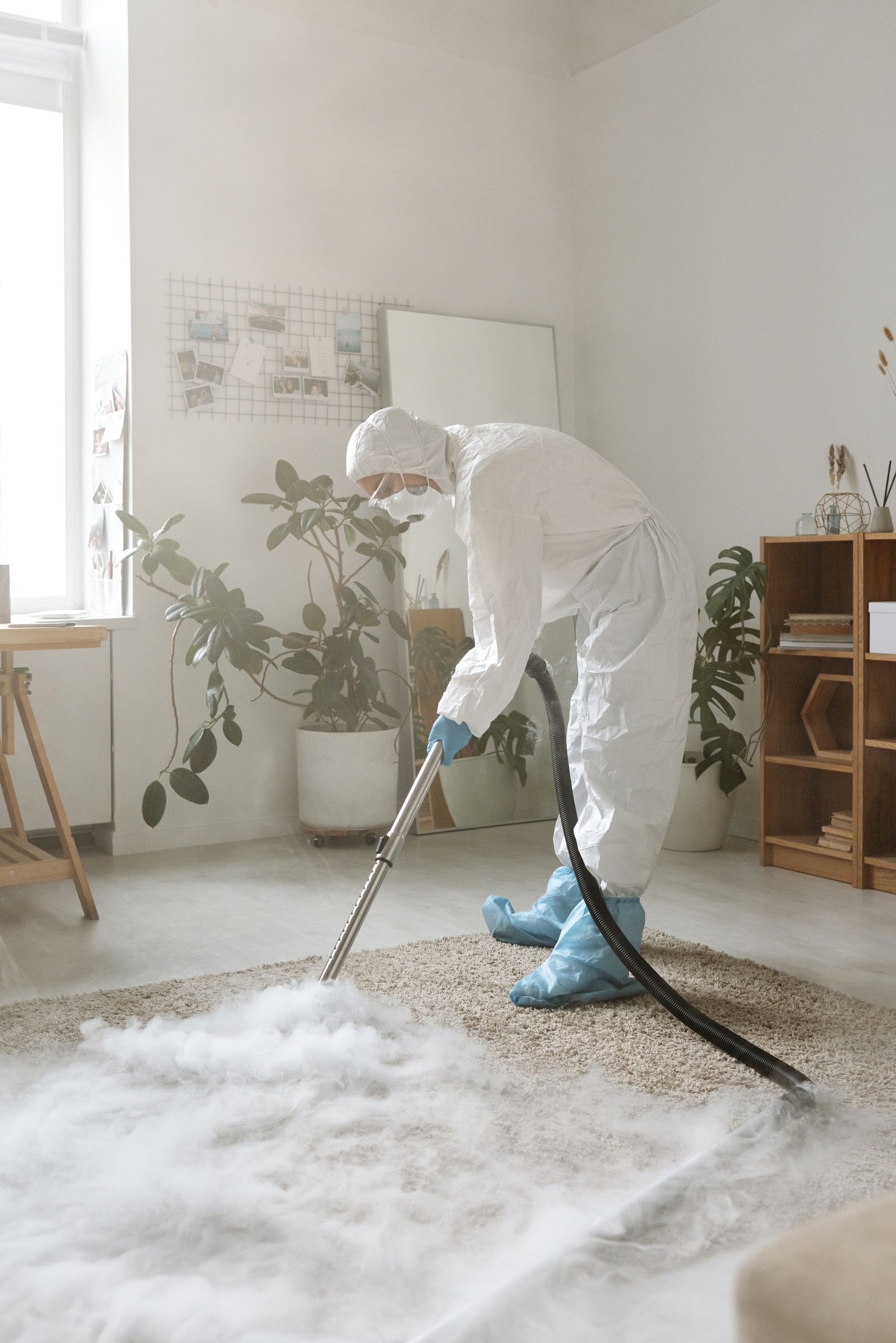 Professional cleaning service